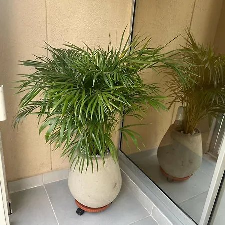Apartamento Tu Escape En El Paraíso Caribeño! *