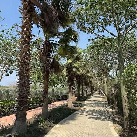 Tu Escape En El Paraíso Caribeño! *